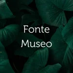 Fonte Museo