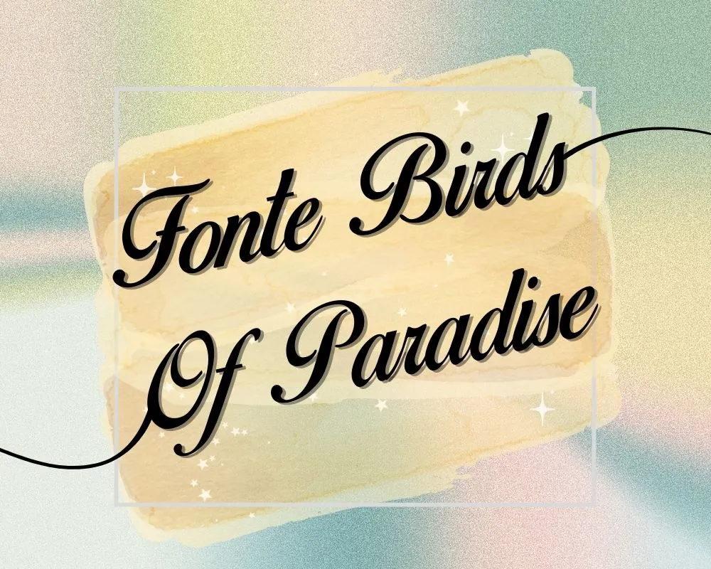 Fonte Birds of Paradise - Baixar Fontes Gratis